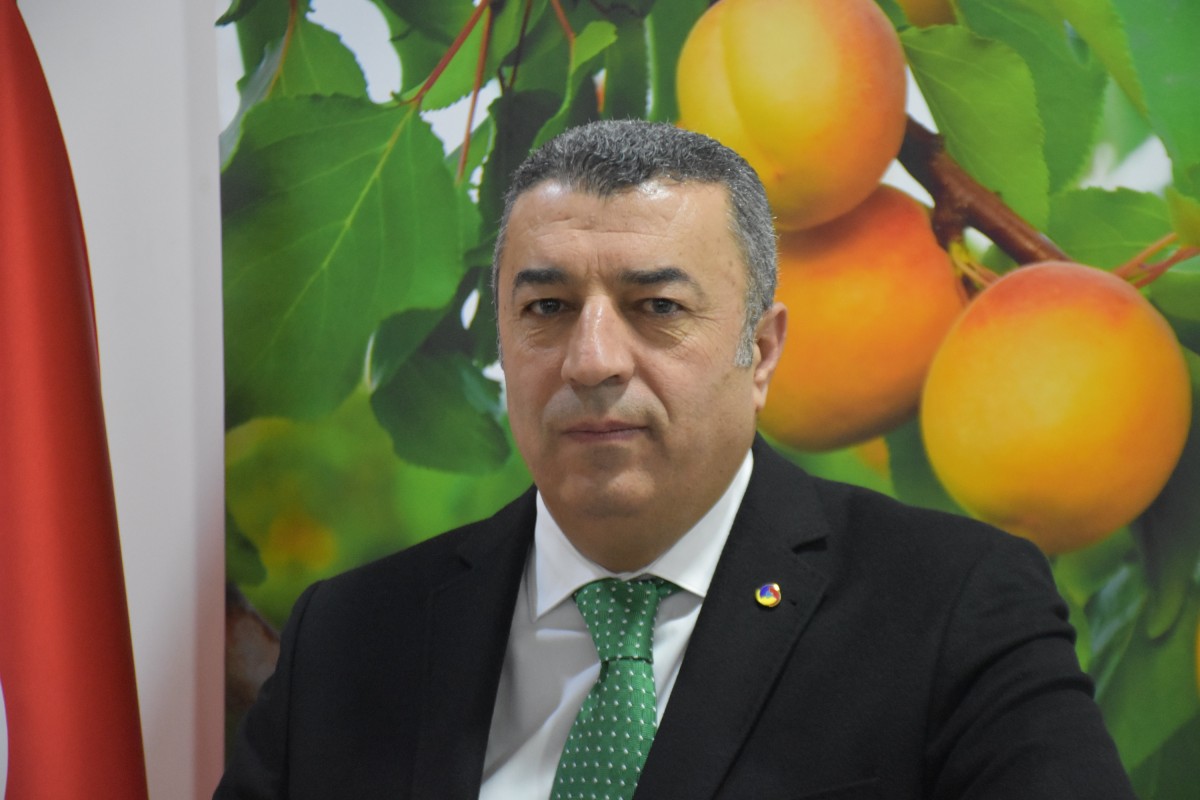 Kuru kayısı ihracatından 402 milyon dolar gelir