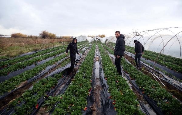 Antalya'da metrekareye 173 kilo yağmur, hızı 122 kilometreye ulaşan fırtına