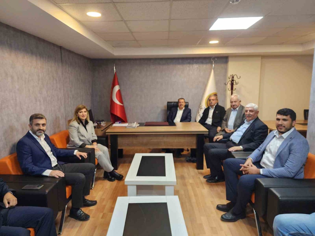 AK Parti Malatya Milletvekili Ölmeztoprak: 
